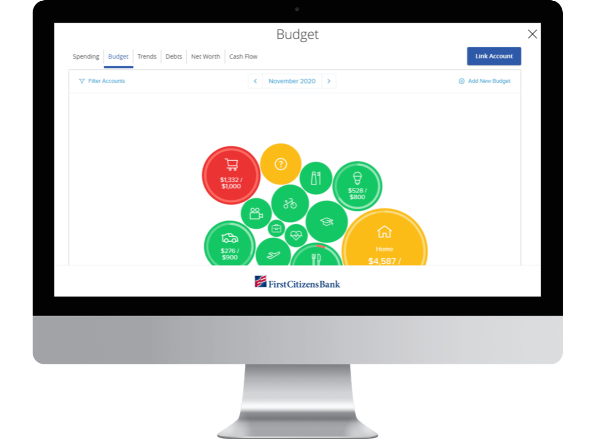 computer monitor displaying a First Citizens Bank Budget application