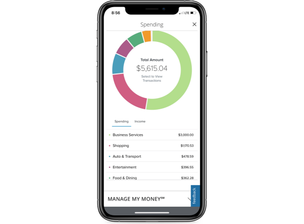 mobile phone displaying First Citizens Manage My Money spending circle graph