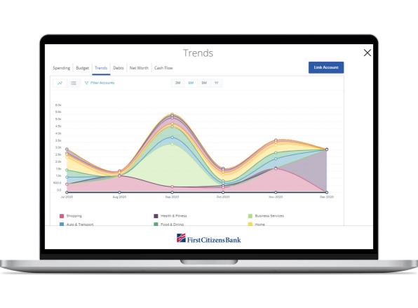 laptop computer displaying First Citizens Bank spending trends tracking chart