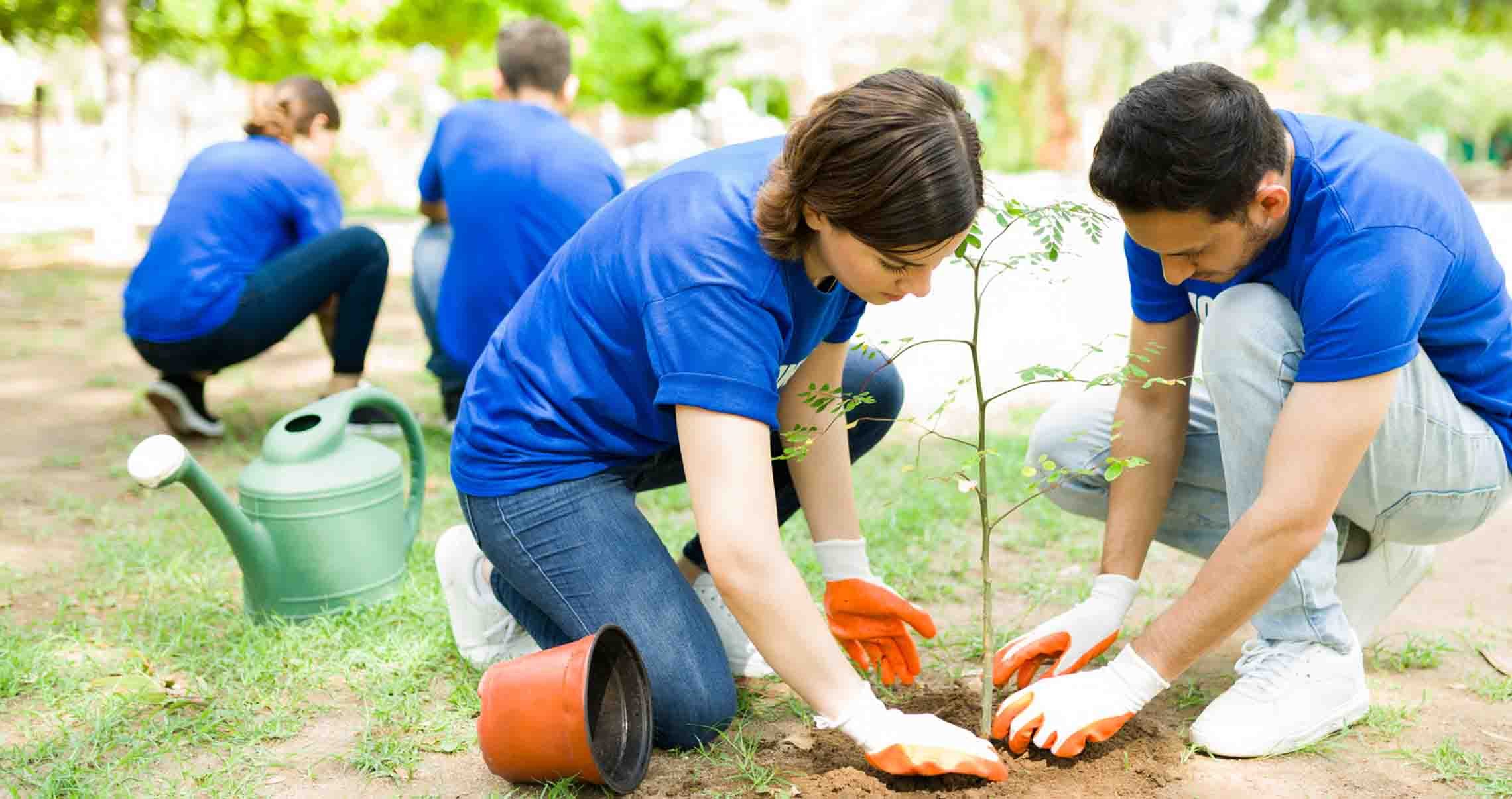 Endowment Funds Provide Financial Flexibility for Nonprofits First Citizens Bank