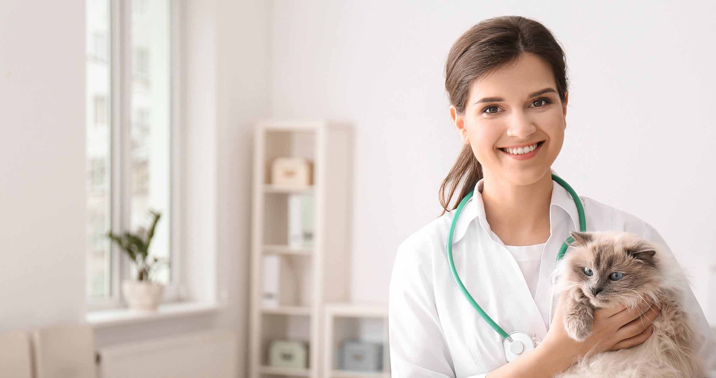 Supporting Staff With Vet School Cost First Citizens Bank